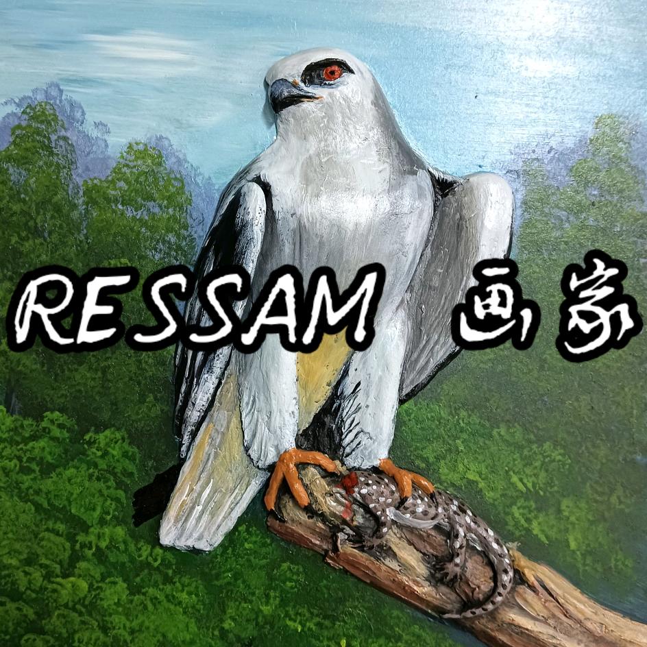 画家 Ressam 🖌