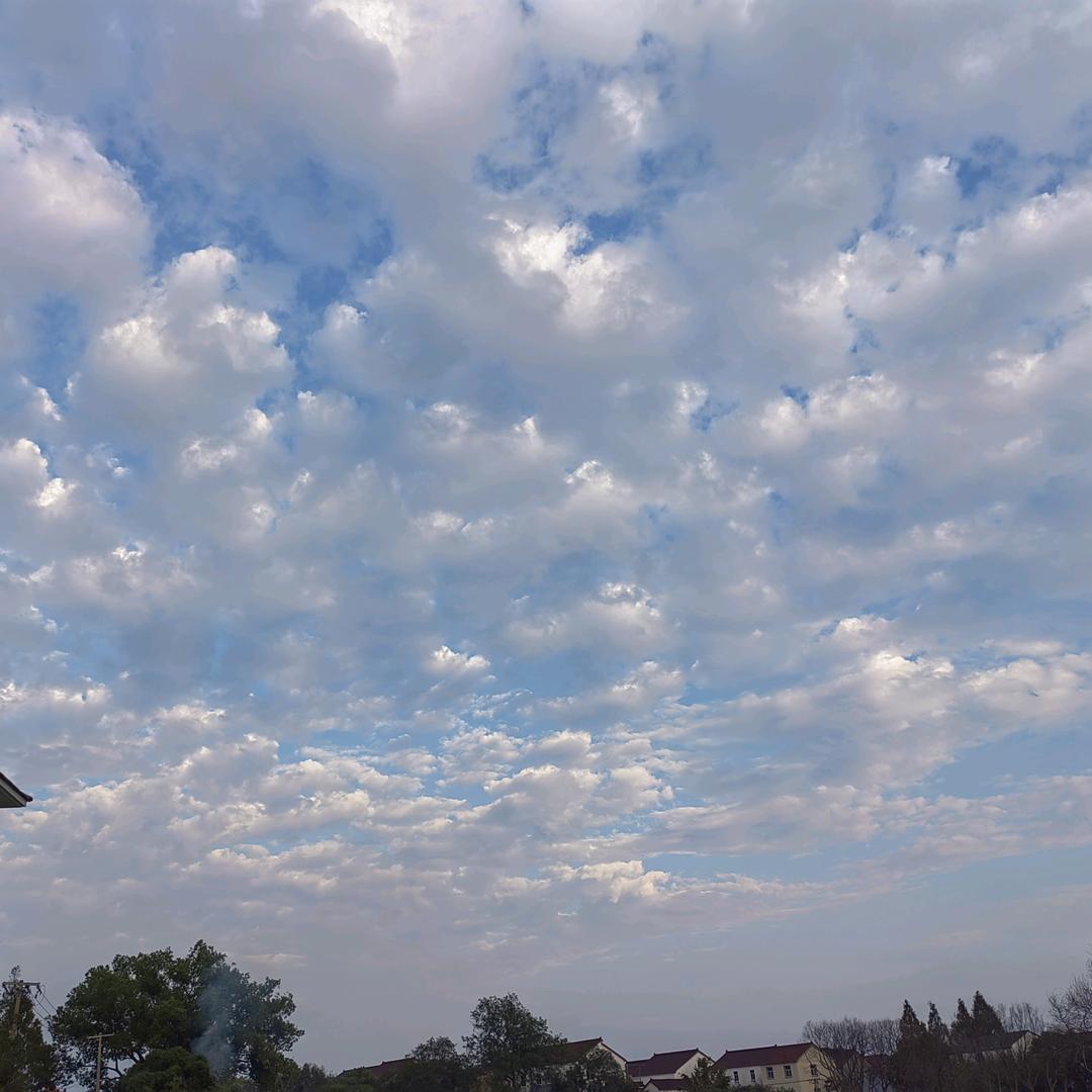 你一副不缺我的样子