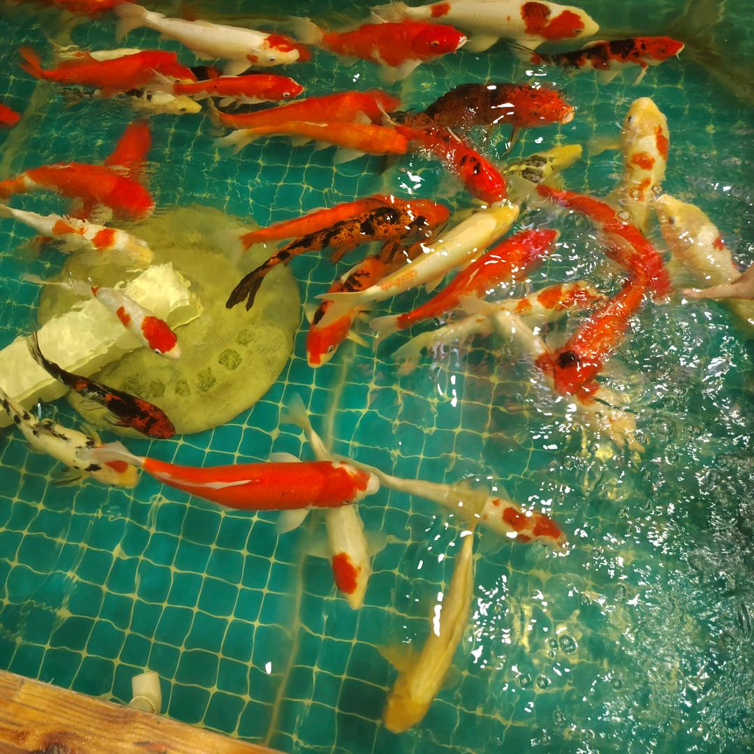 💗᭄余生ᝰᩚ随心ꦿ໌ᮨ💕