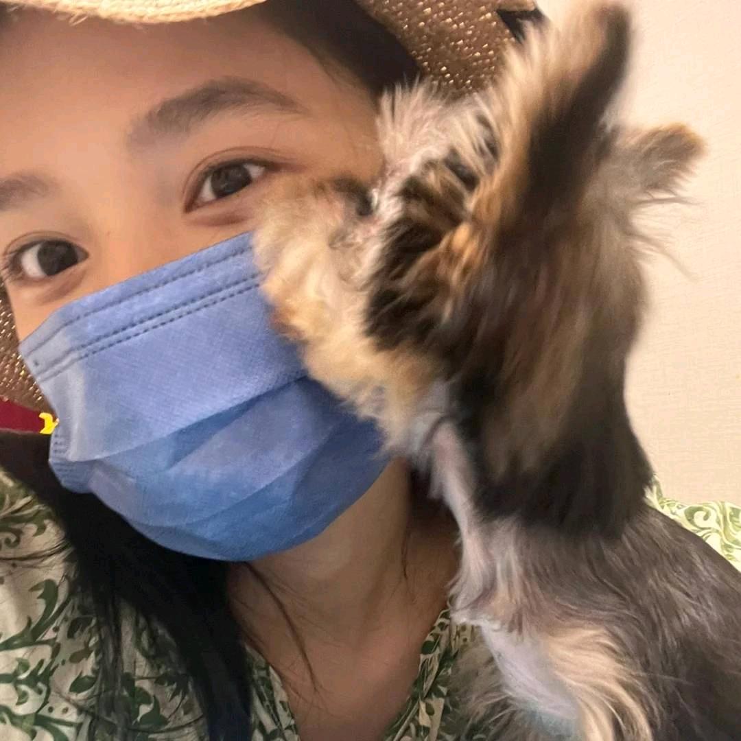 海葵鱼鱼🐚