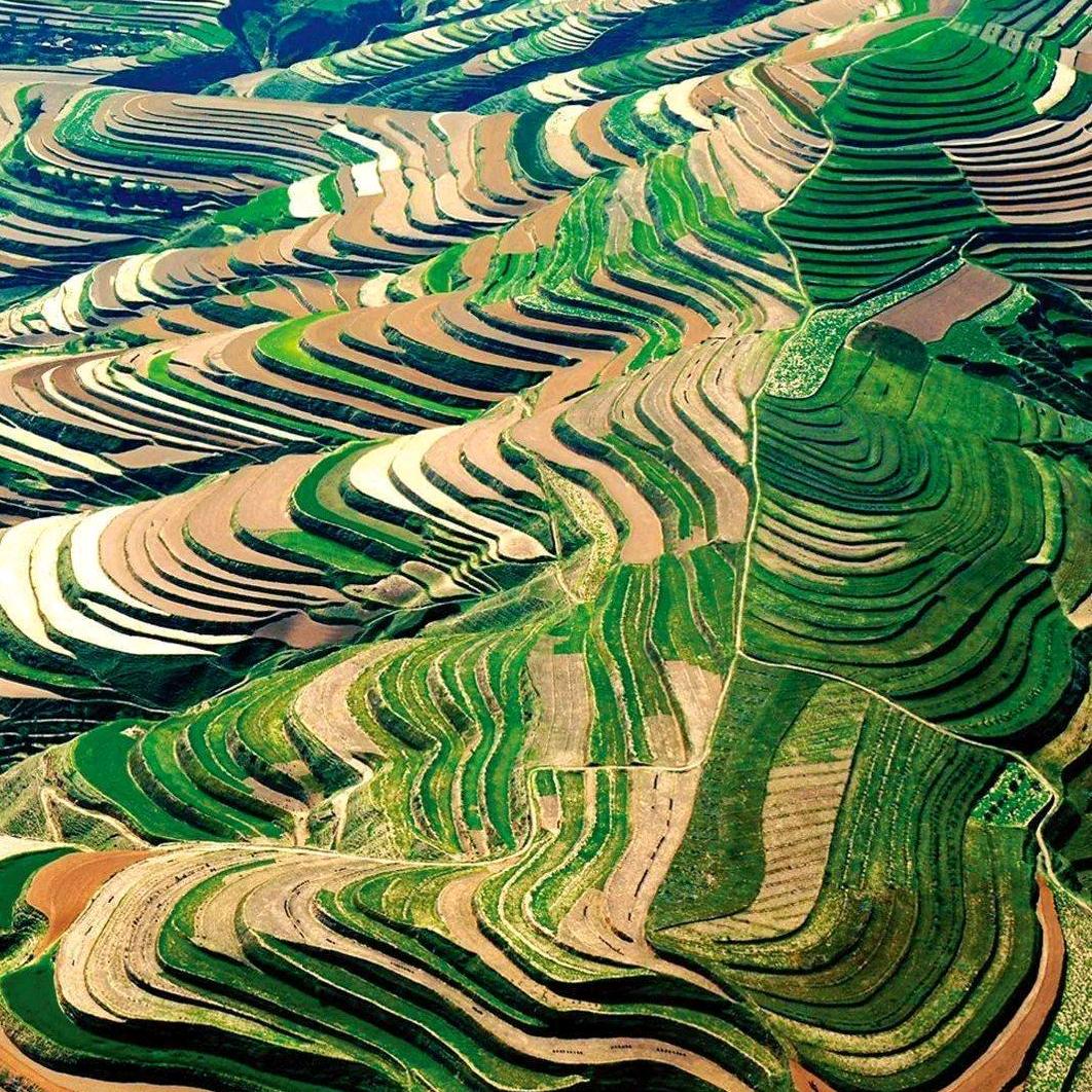 永往直前