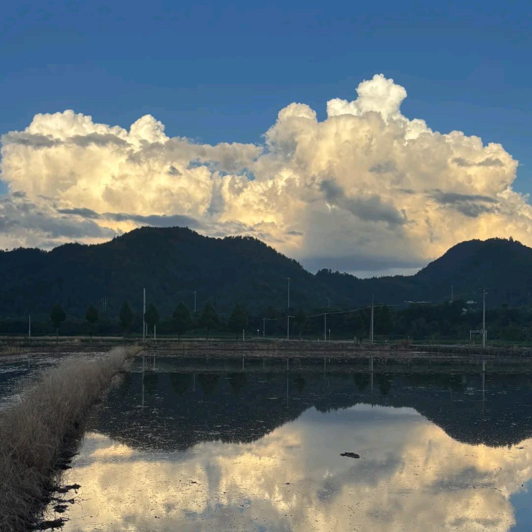 漂洋过海