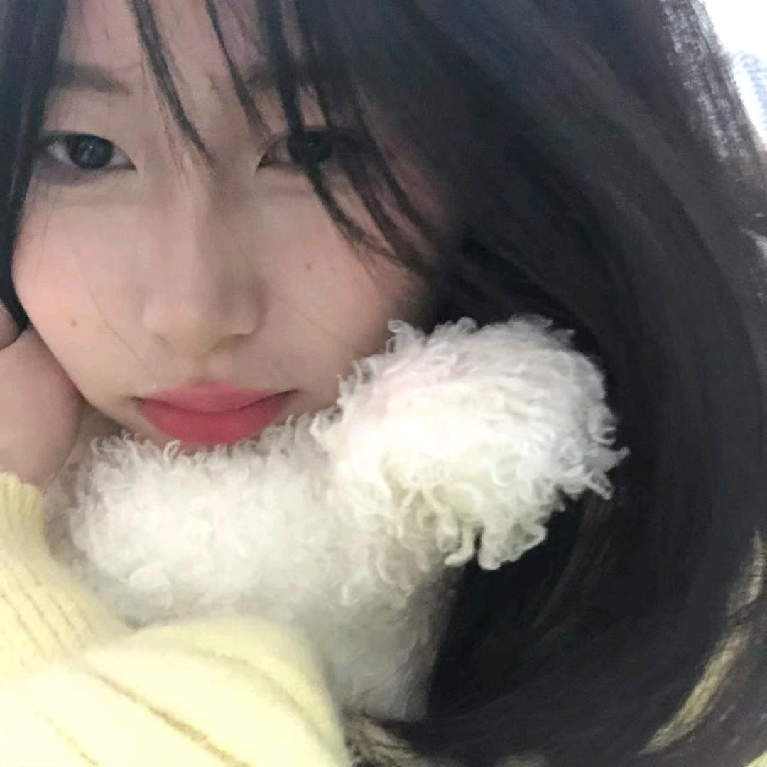 陈柒雪