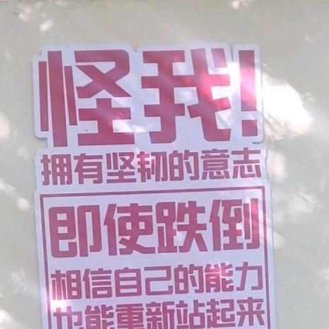 游子！！！！！