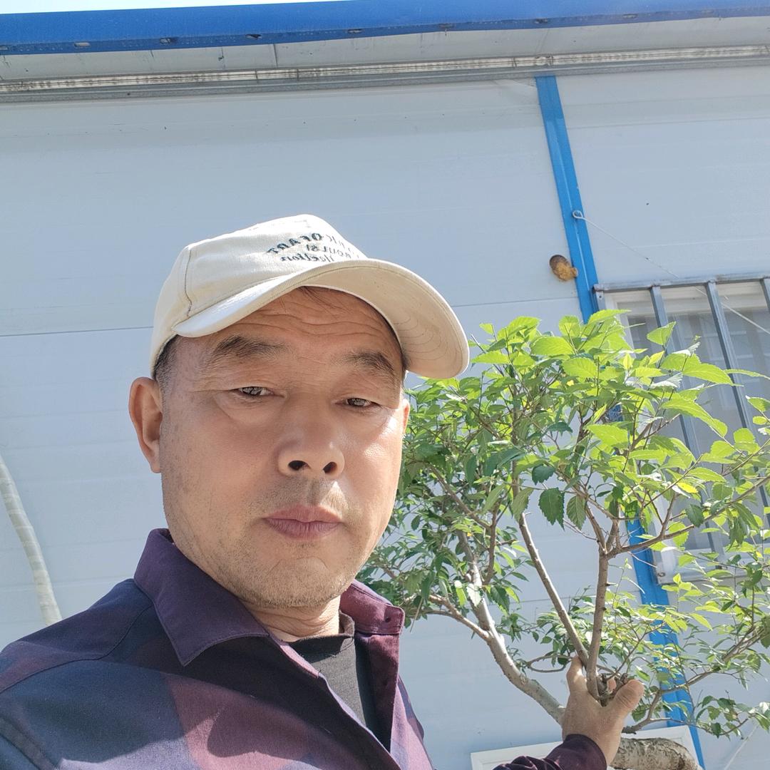 祥云万里β。㇏