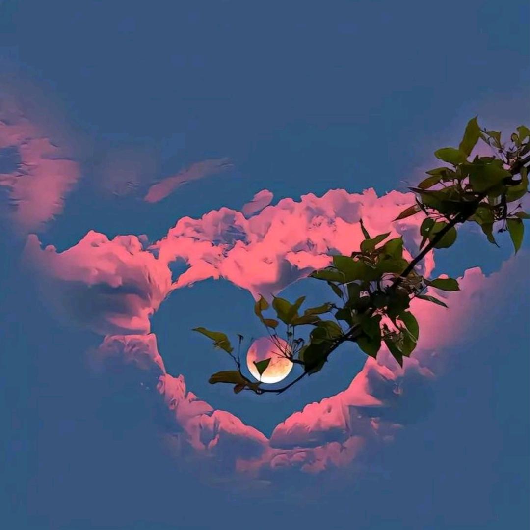 醒知梦🈳🦋¹⁰⁸