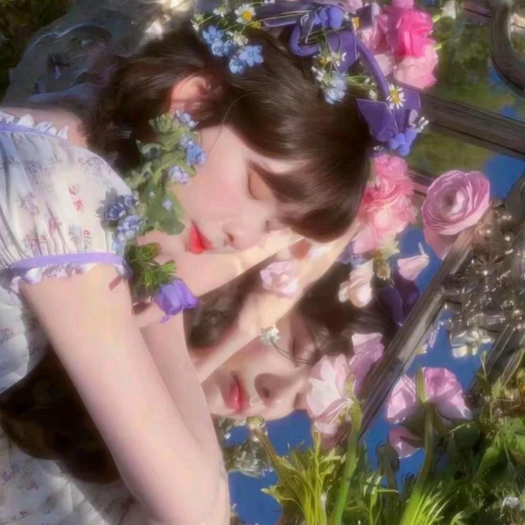 紫芯
