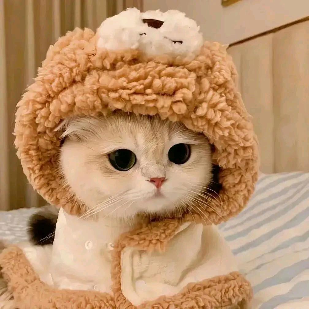 💞ℒᎭℯ⃝微微ᩚᮨ໌້࿐