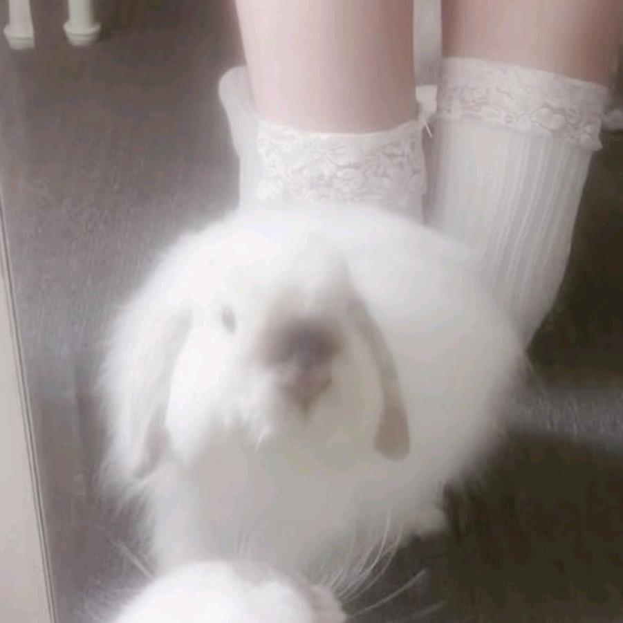 爱朵朵