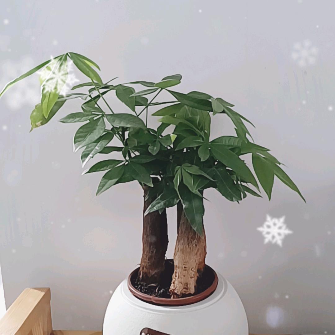 吉祥