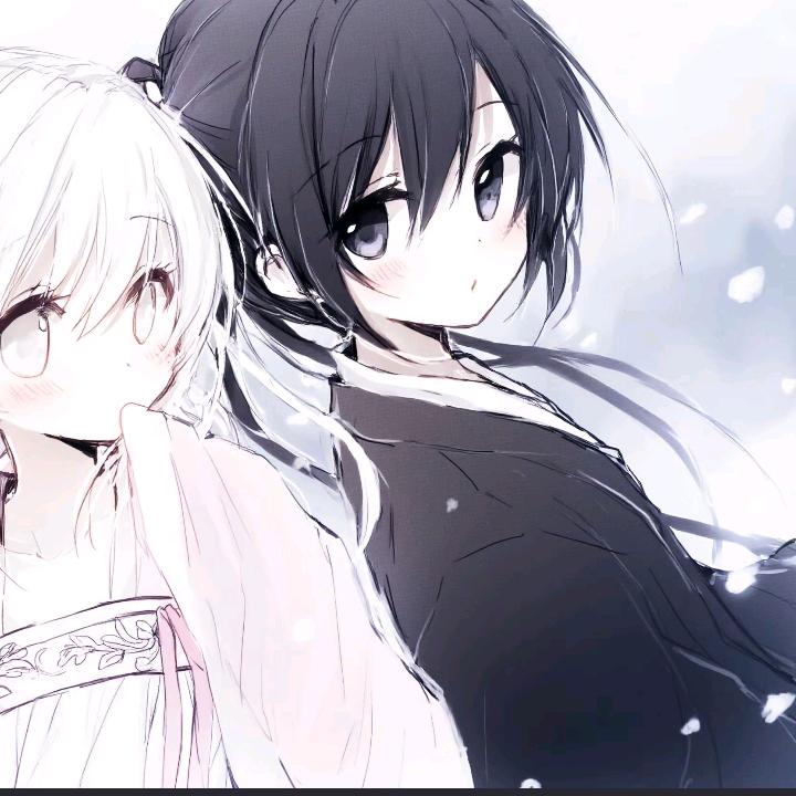 曲奇🍪