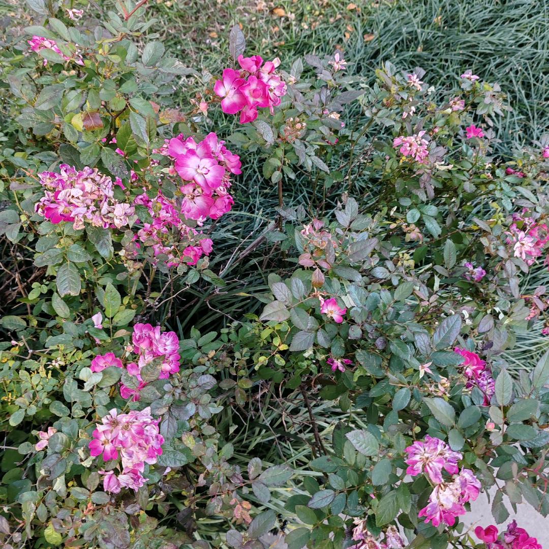 你若安好，···