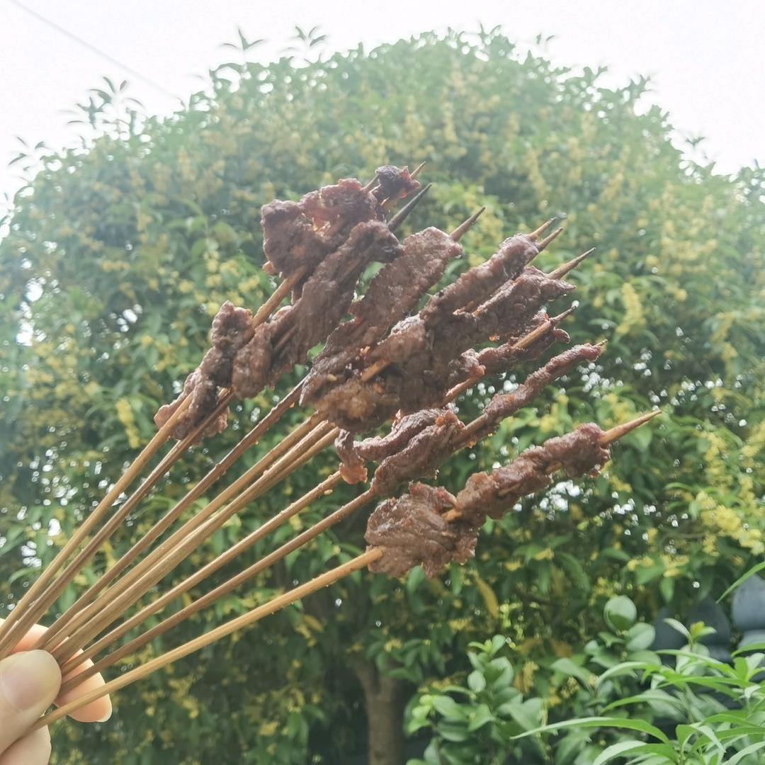 叶里藏花一度