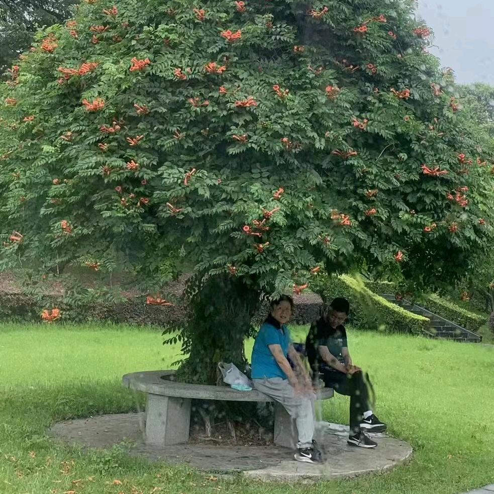 ໒꒰ྀི 随心ྀི꒱১