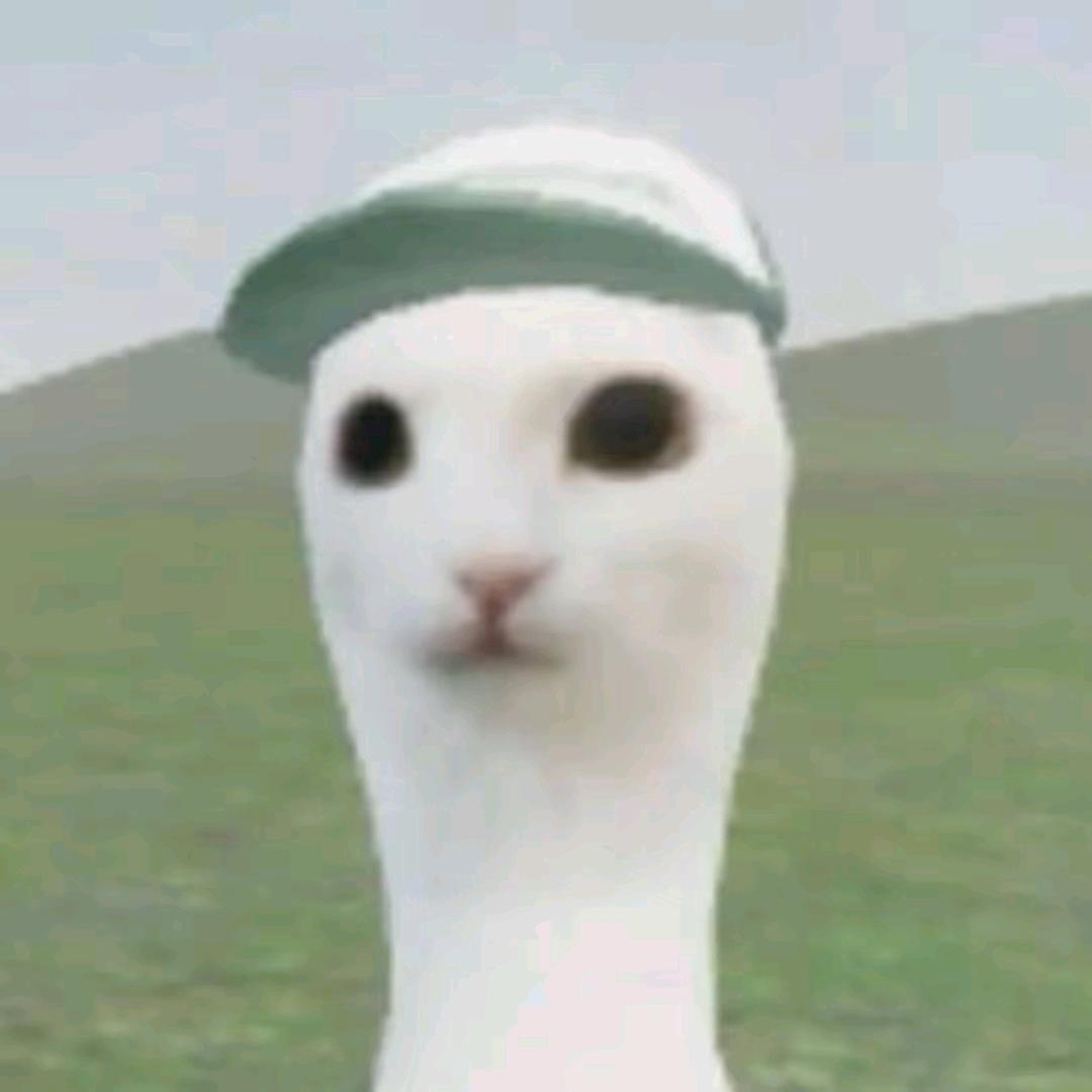 安小穆