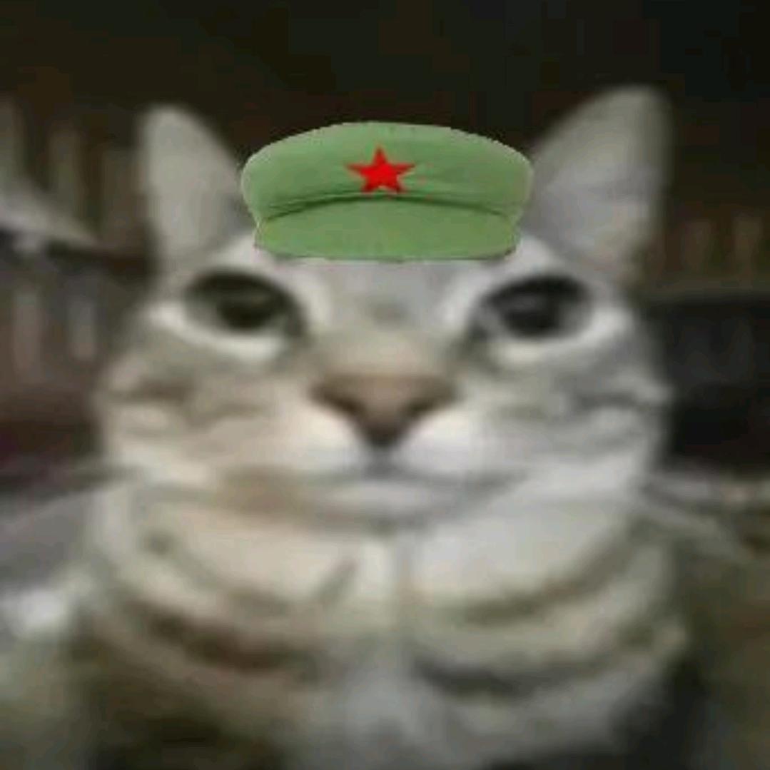 eee