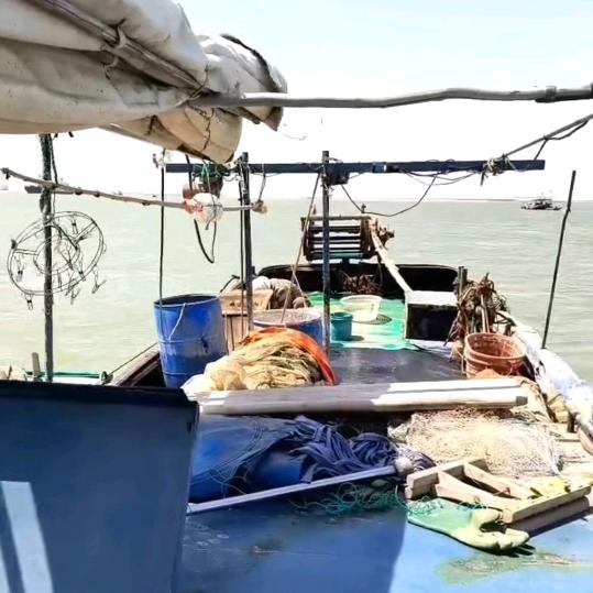 七号码头水产1群