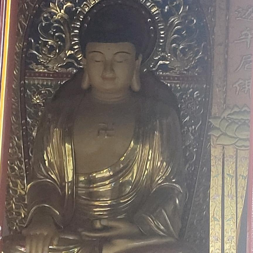傲笑红尘