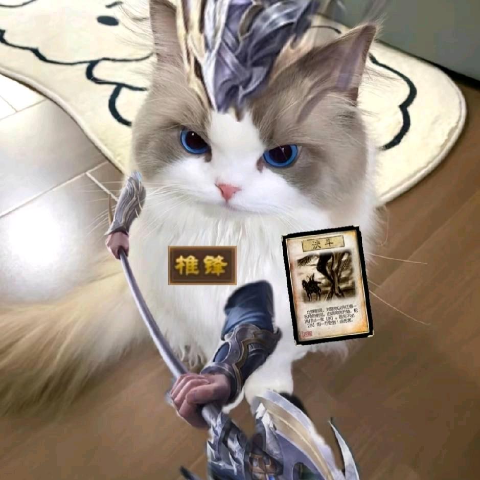 一只野生文鸯喵