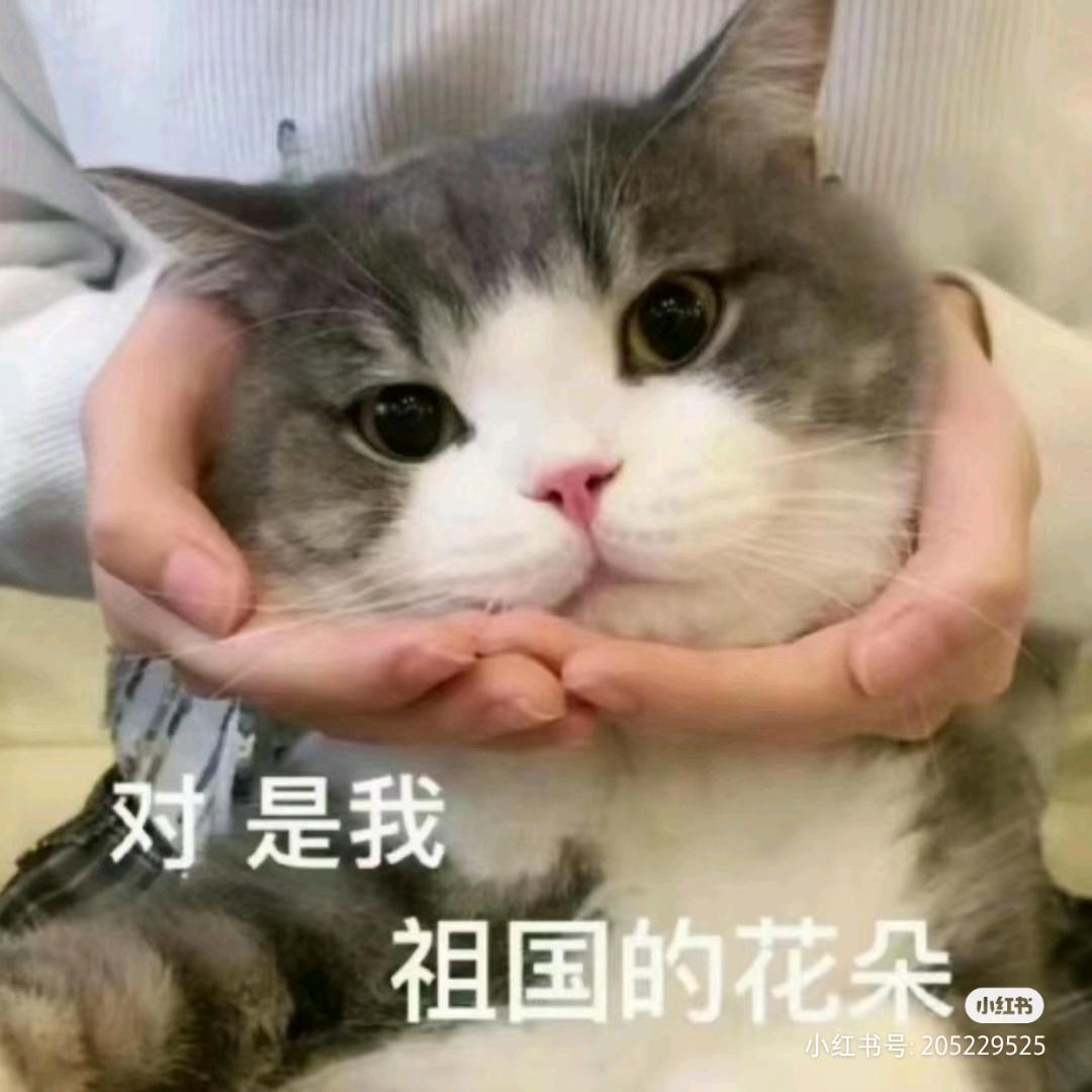 懒 懒