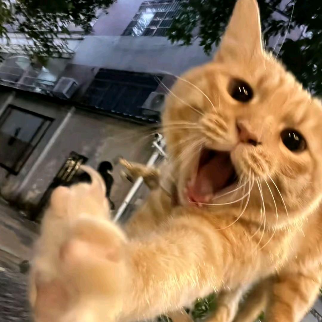 山药