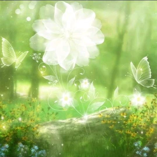 ☘️🎀浅꯭月🍀💖流歌🎀🍀💞