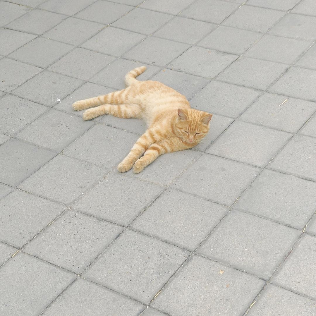 举杯邀明月