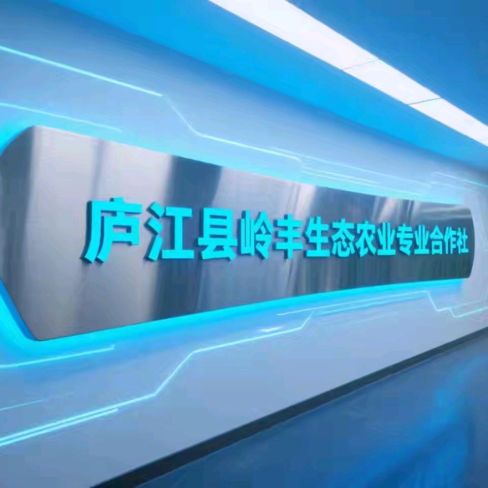 大岭社区助农直播