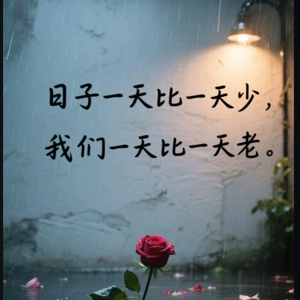 82680496059