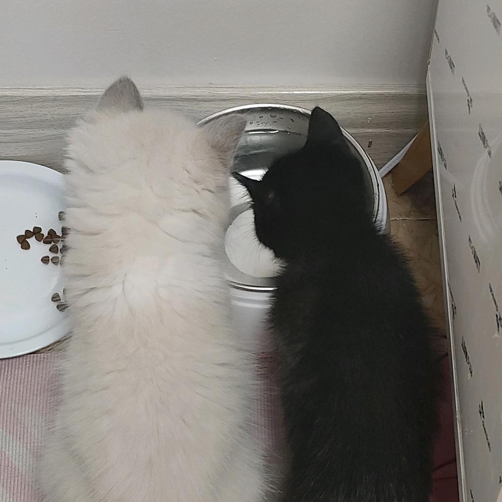 🍑桃心小宅🏠