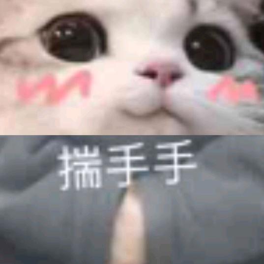 猫哥爱钓鱼😾