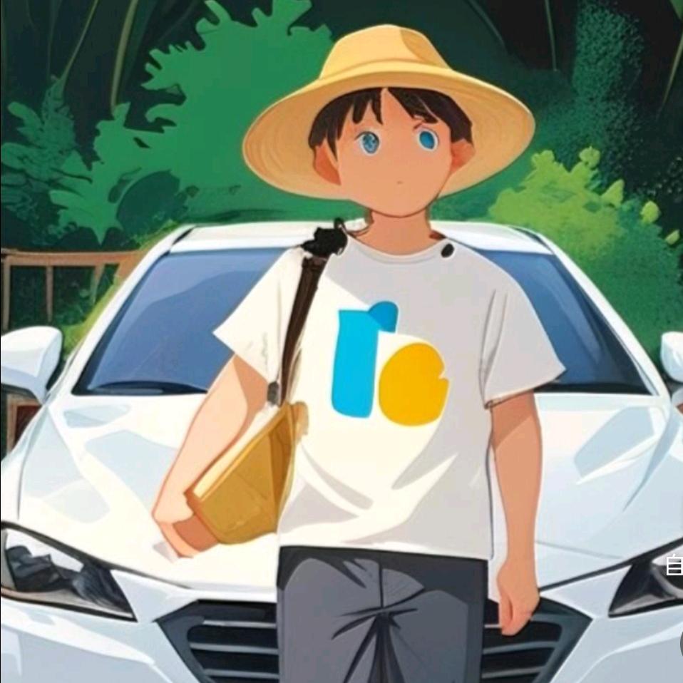 抚顺君道冷门车