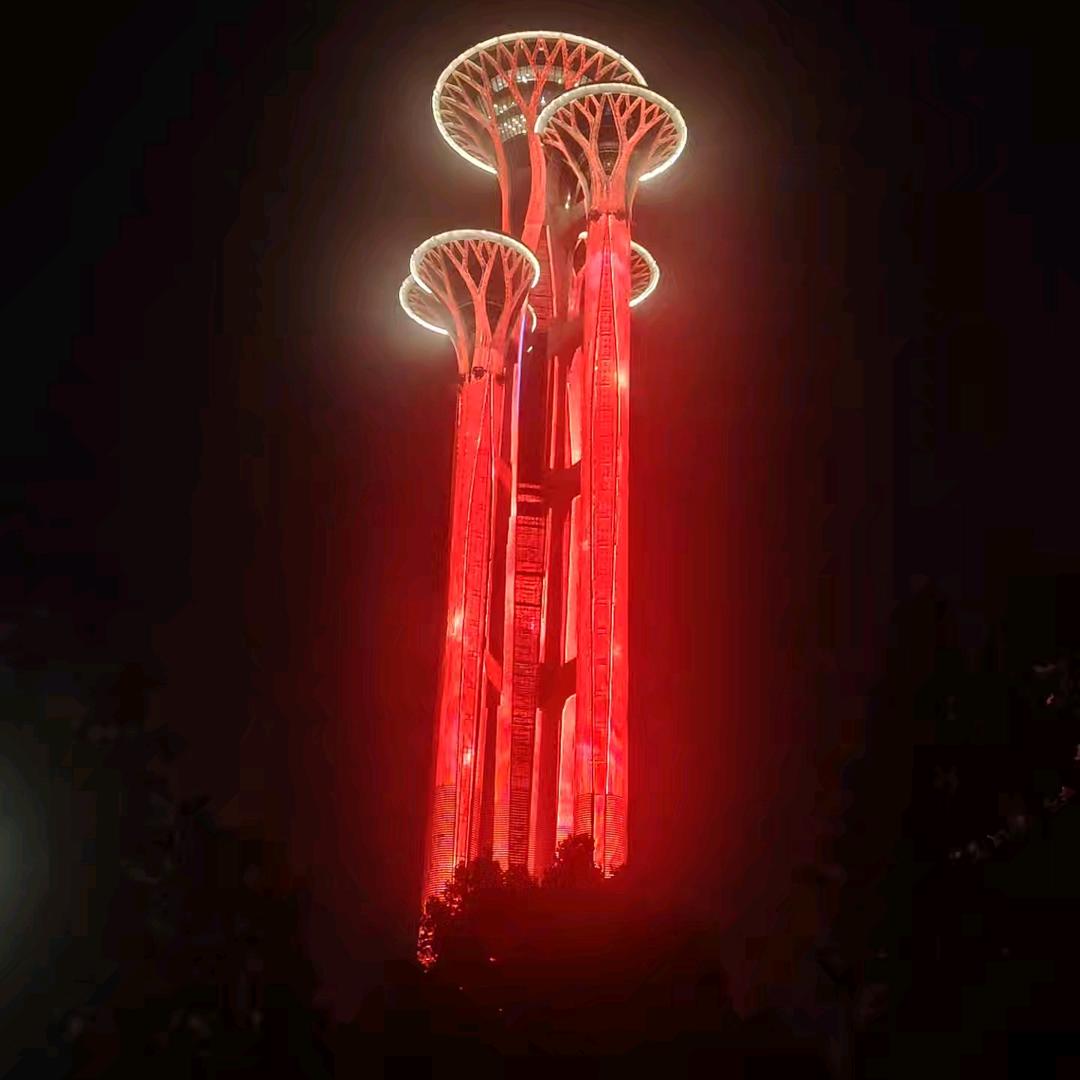 石心石意