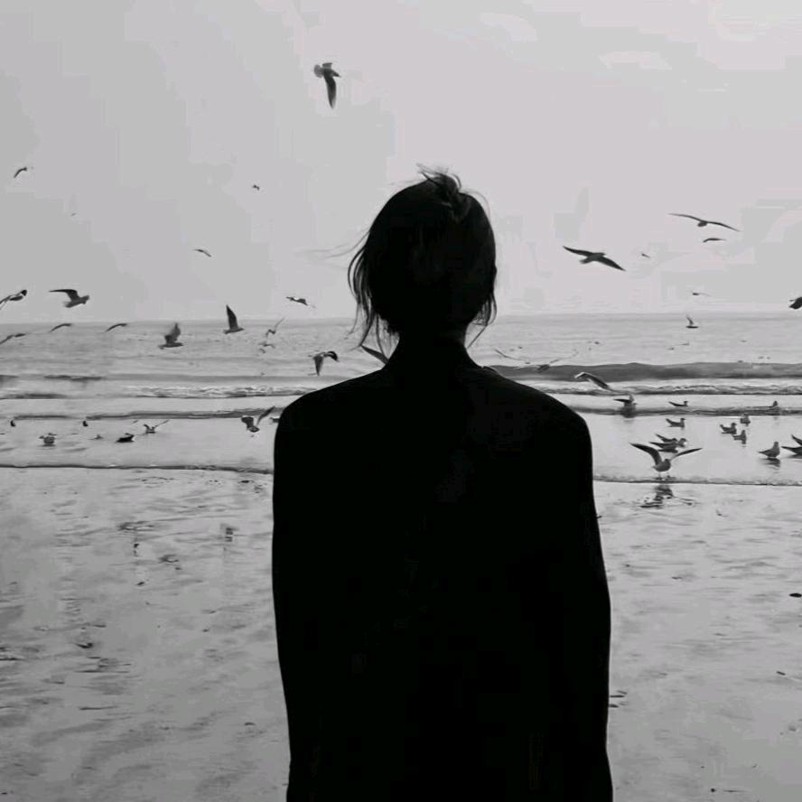 👑我是小晴晴 ！