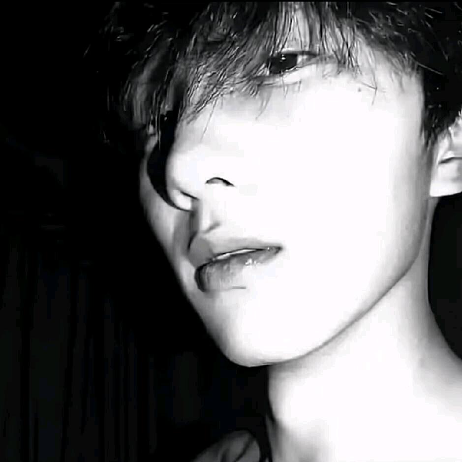 ㅤ  ︋ㅤㅤ  ︋ㅤㅤㅤㅤ ㅤ  ︋ ㅤ