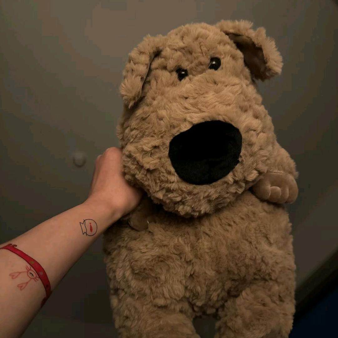 南毅（南小驼🦙）