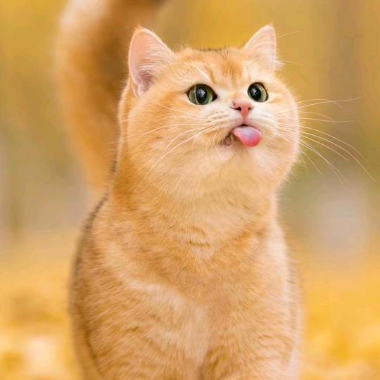 懂了