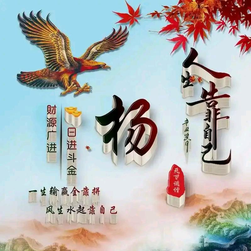富贵花开我