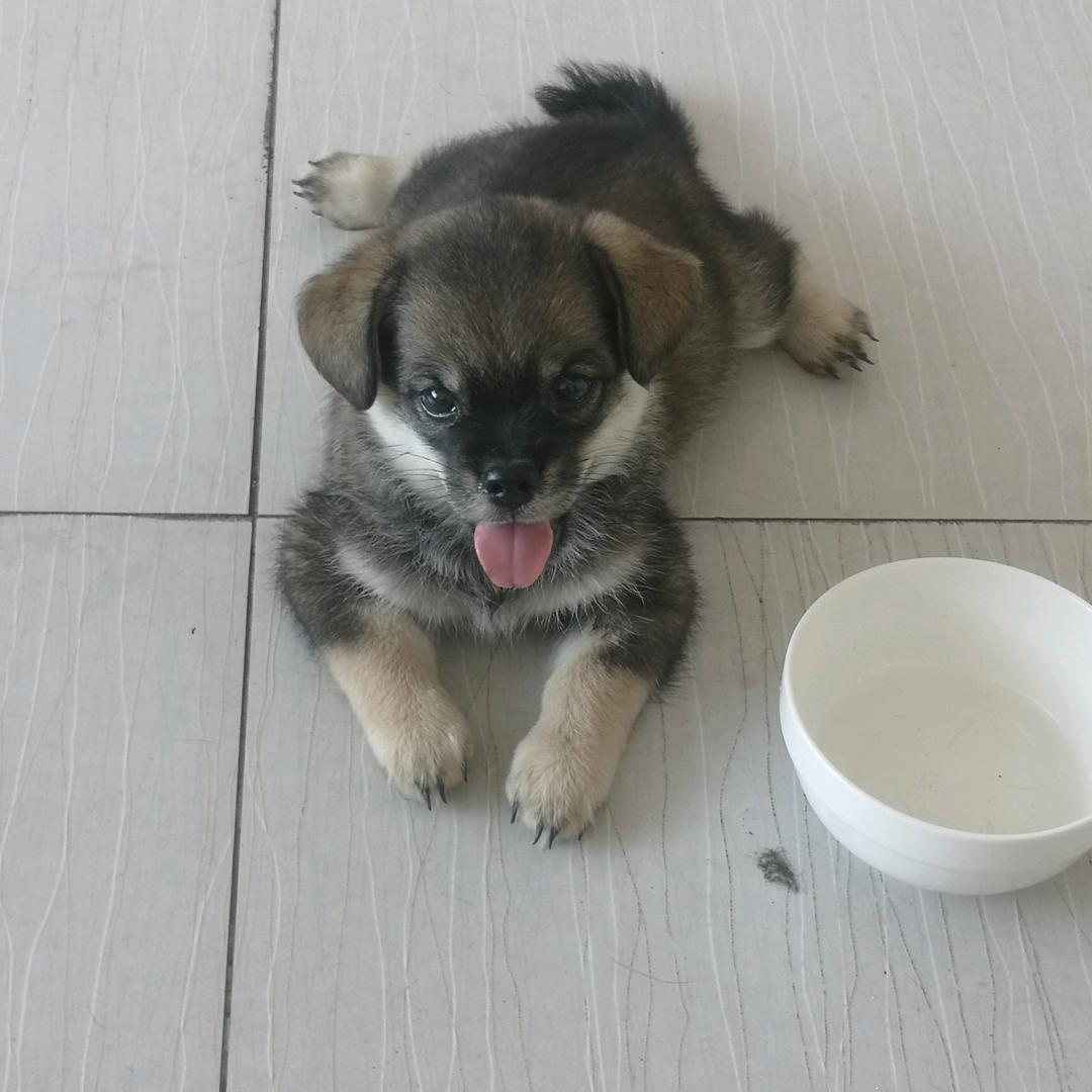 奥特曼