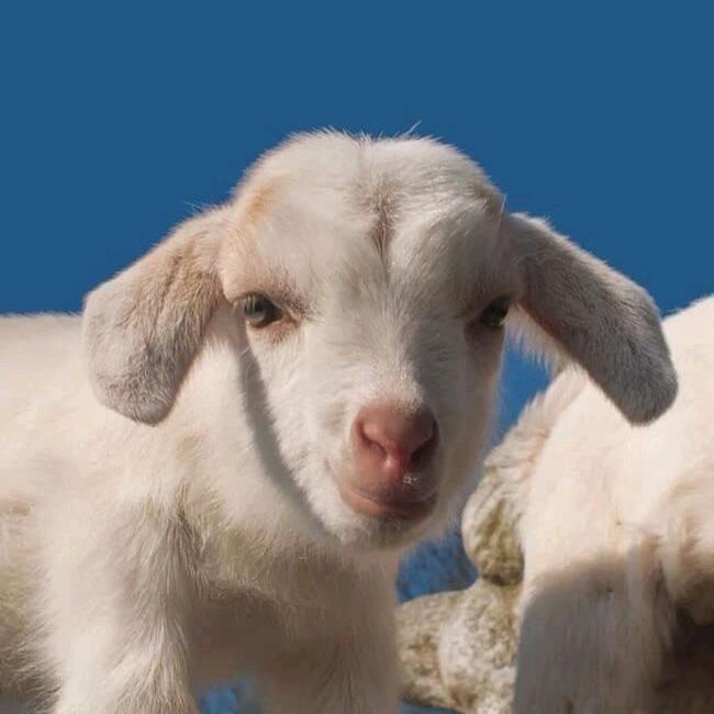 GGG_（补药早起版）