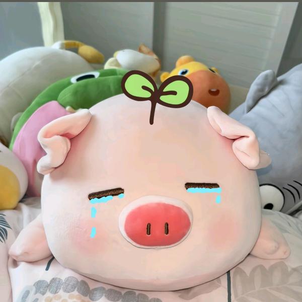 徐念慈