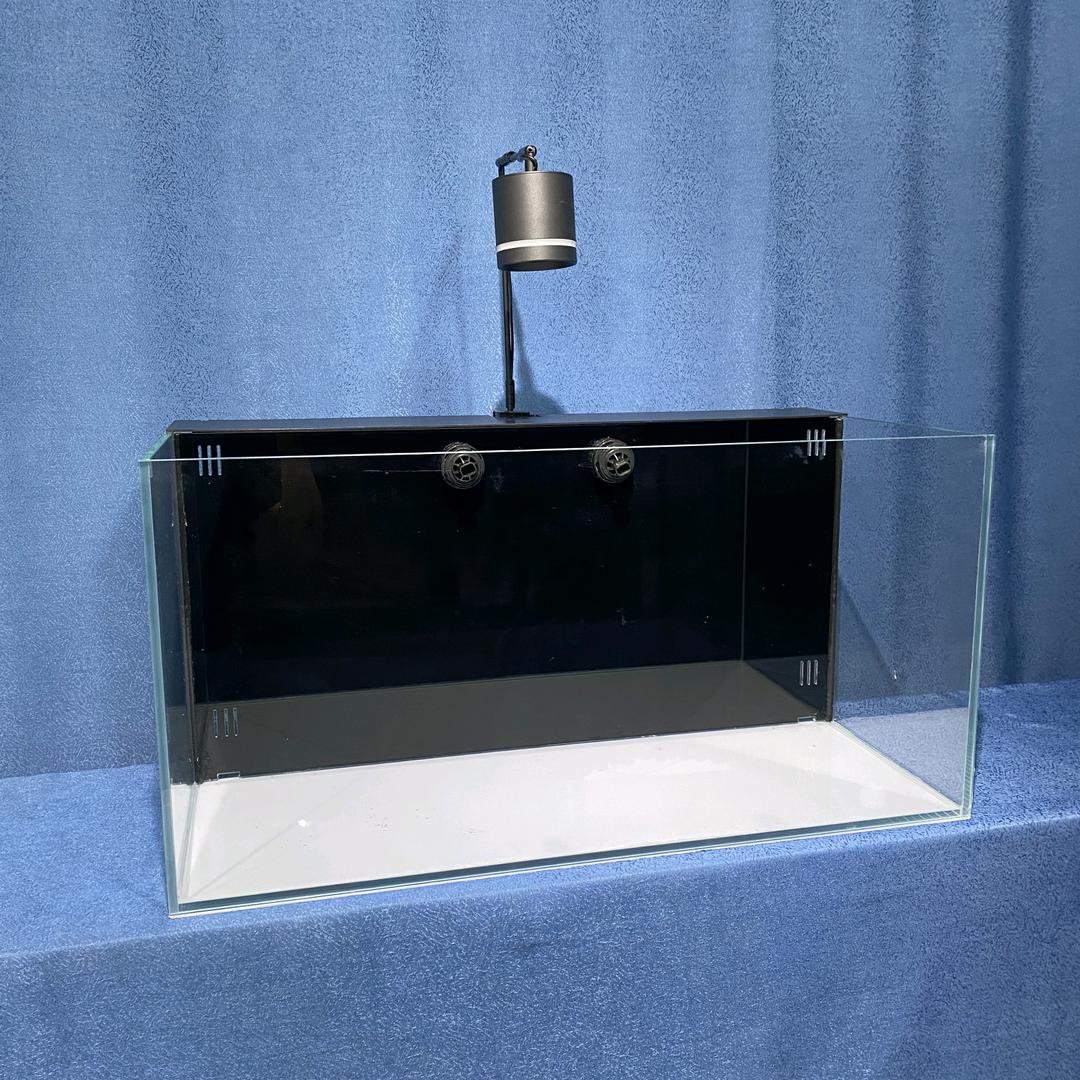 白菊小鱼缸工厂店