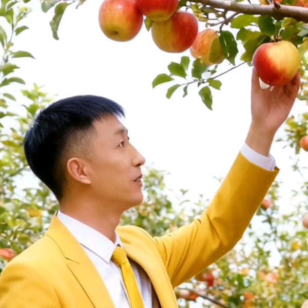 专业贴砖的，林哥（单身）