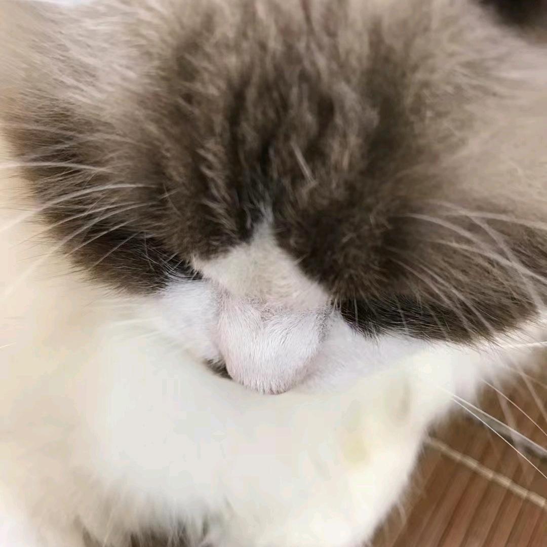 。，