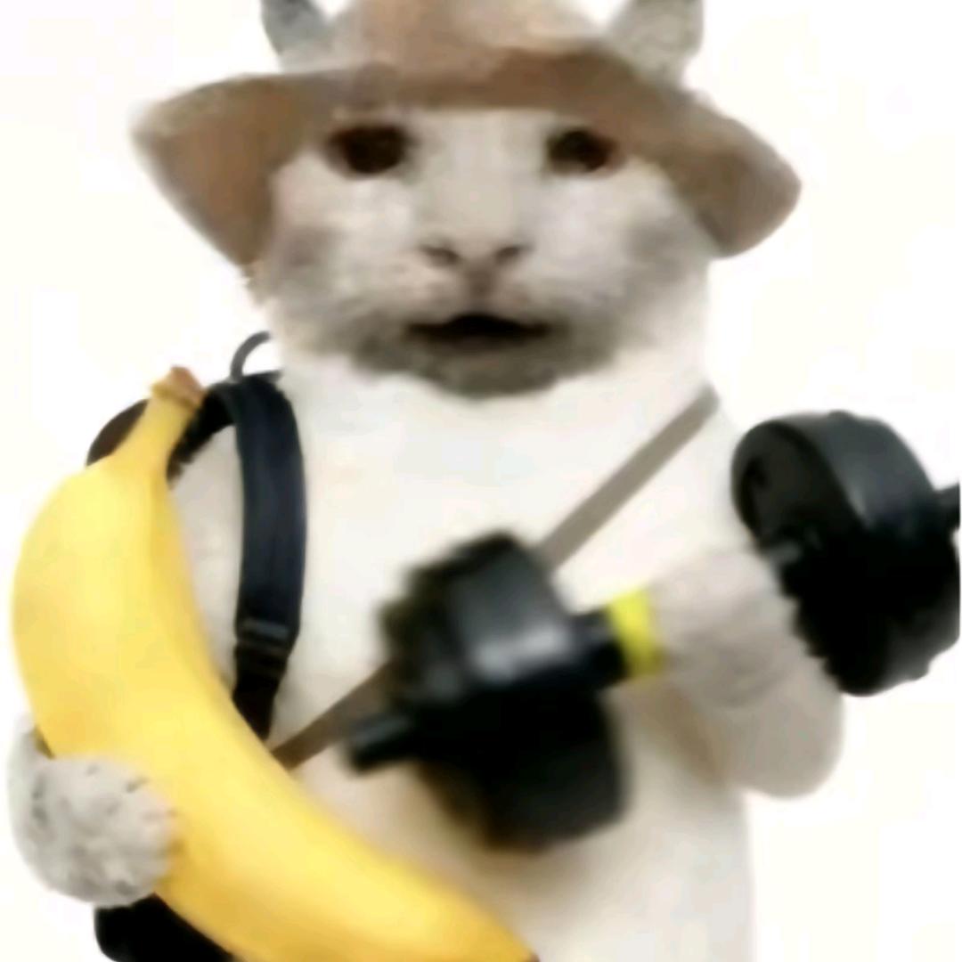 Y󠀀󠀀󠀀󠀀󠀀󠀀󠀀