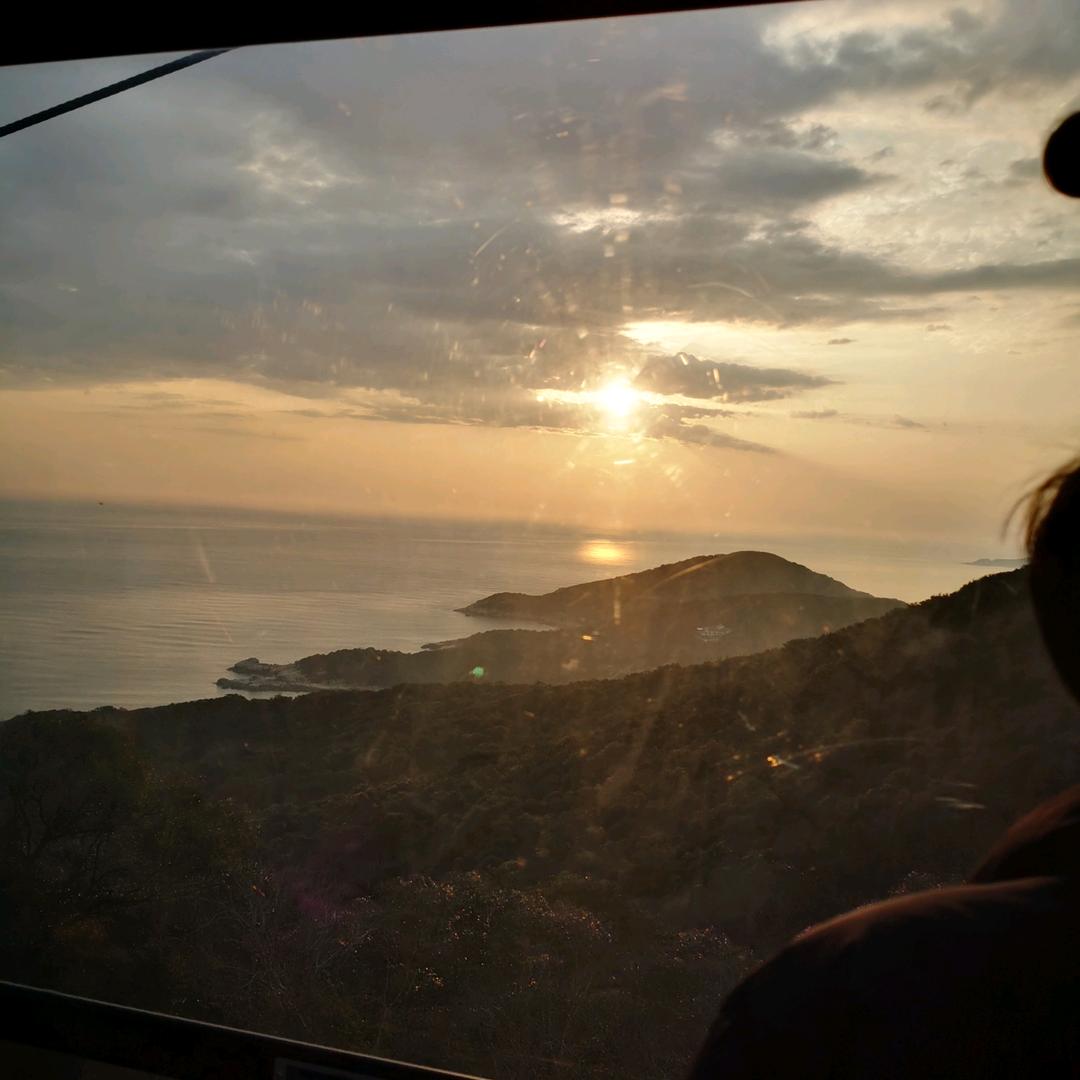 小杨白切鸡广霖（横溪分摊）