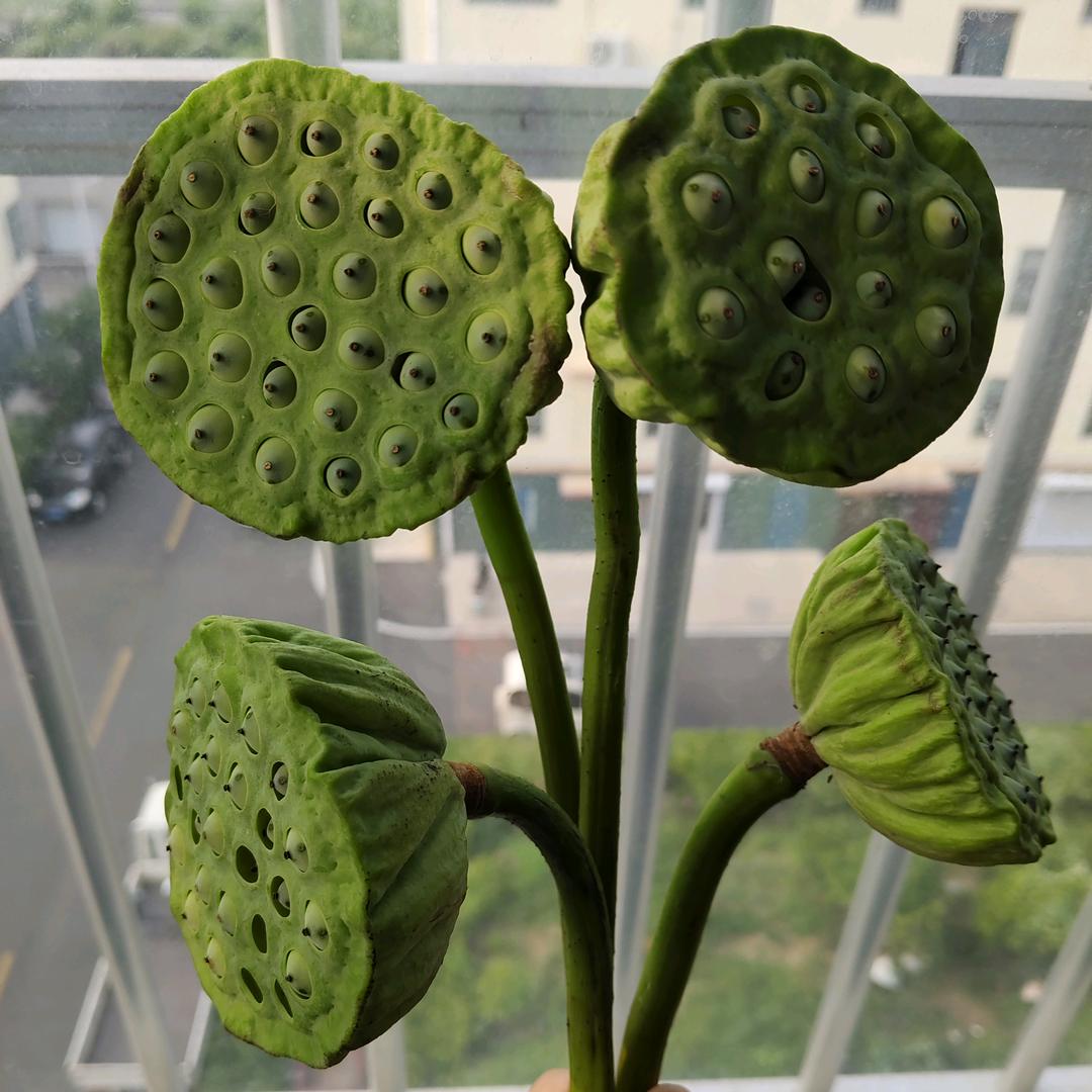 否极泰来
