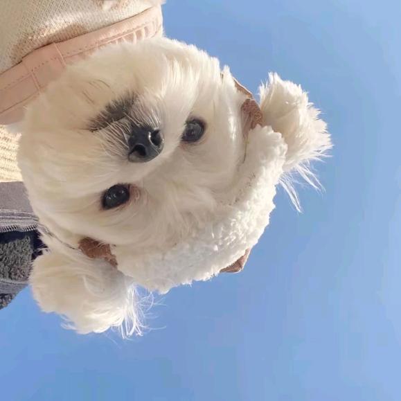 主旋律过的什么清汤寡水的苦日子