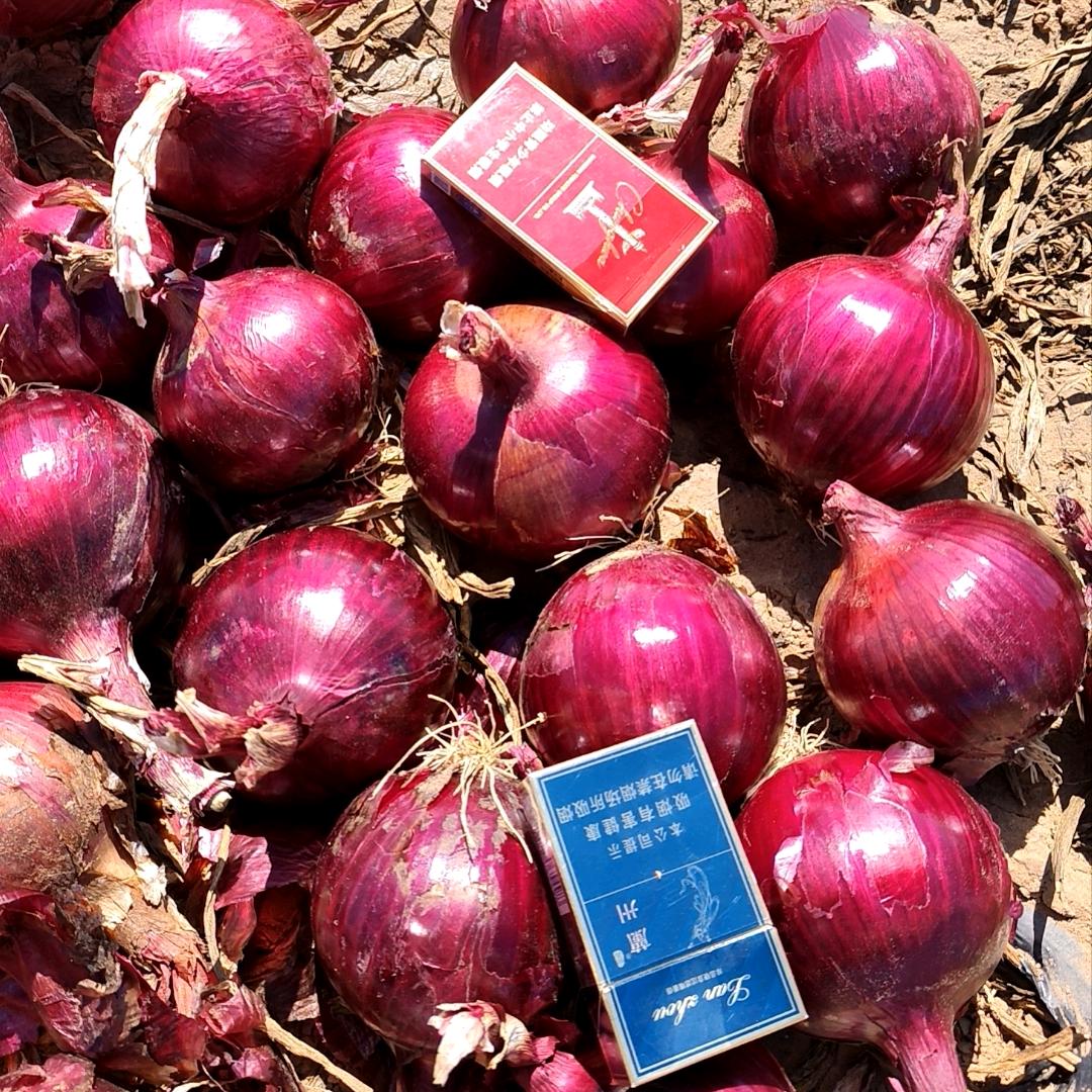 甘肃康瑞农农牧家庭农场（个人独资）