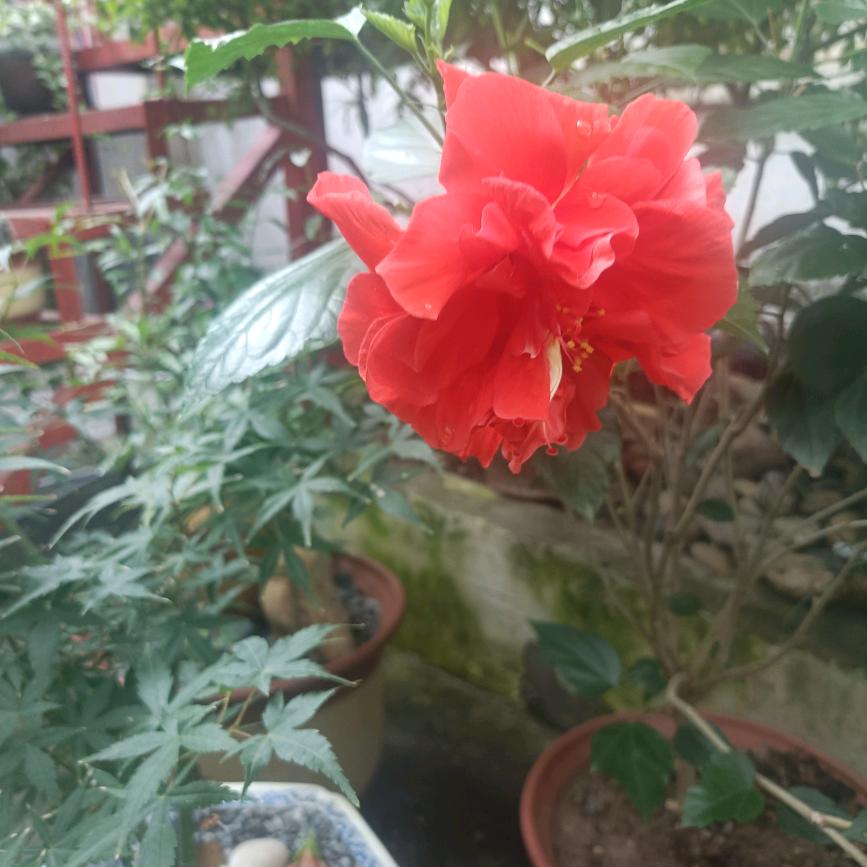 不要后悔离开她